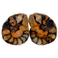 Hematite Ammonite Fossil Pair Spiritual Stone