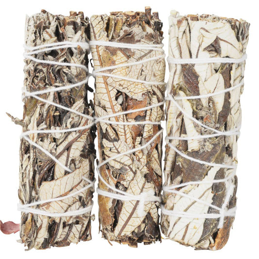 Yerba Santa