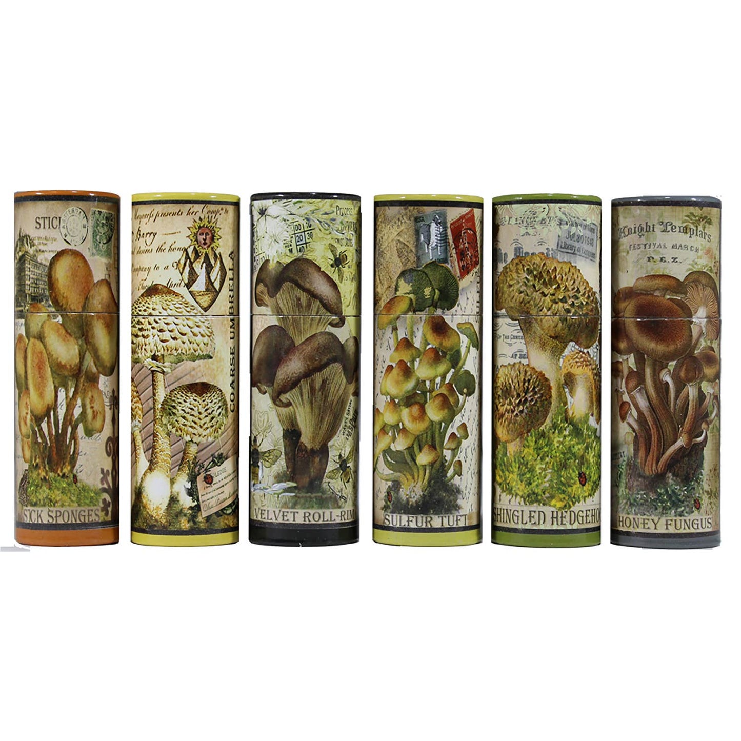 Vintage Mushroom Illustration Match