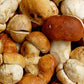 Dried Porcini #1 Mushrooms