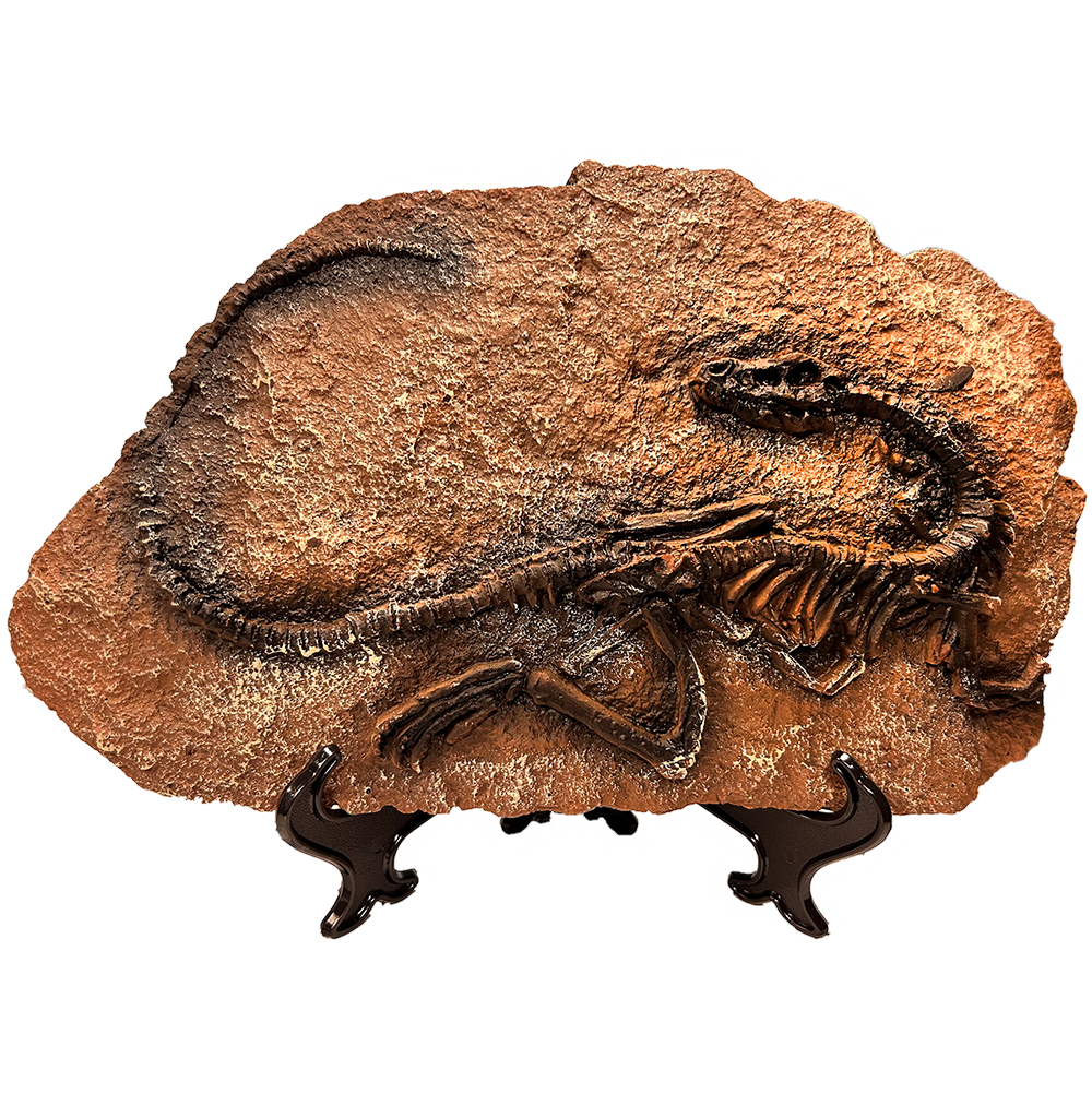 Dinosaur Prehistoric Skeleton Plaque w/ Holder