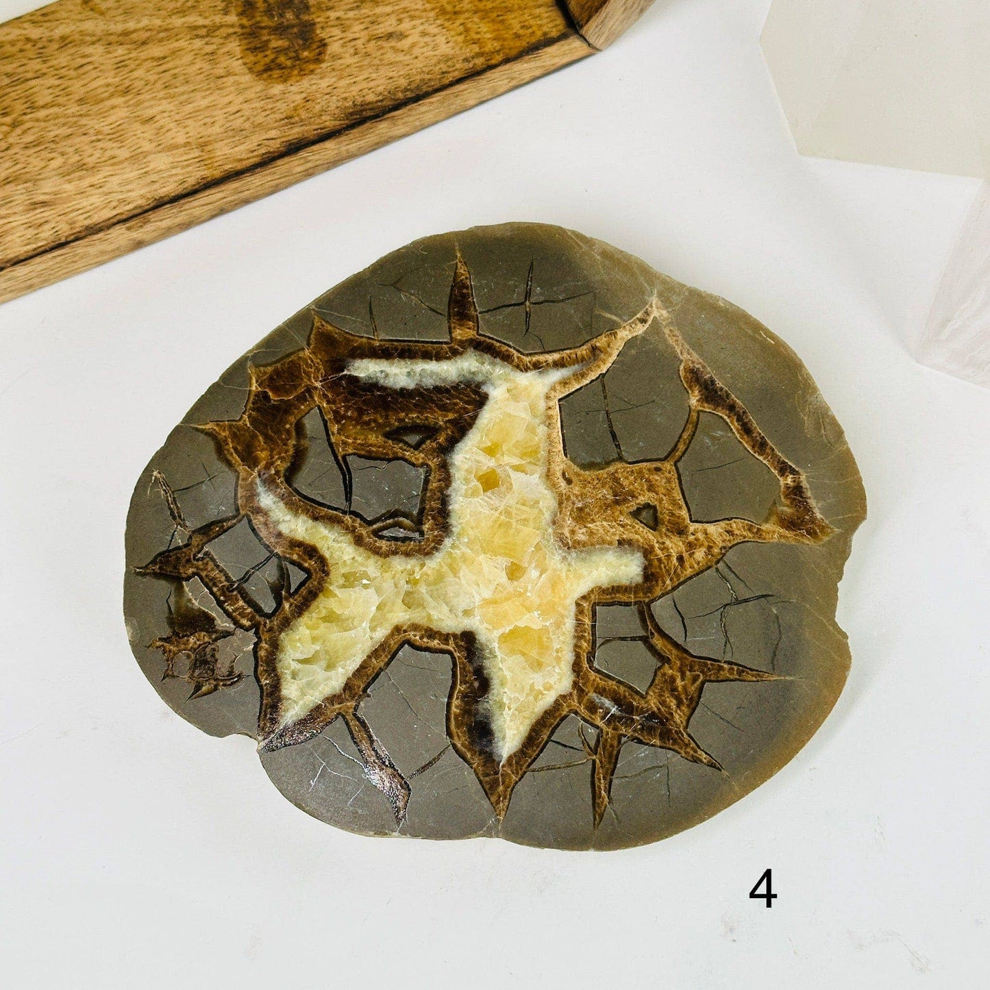 Unique Utah Septarian Crystal Slab featuring intricate patterns of calcite and aragonite, perfect for any collection.
