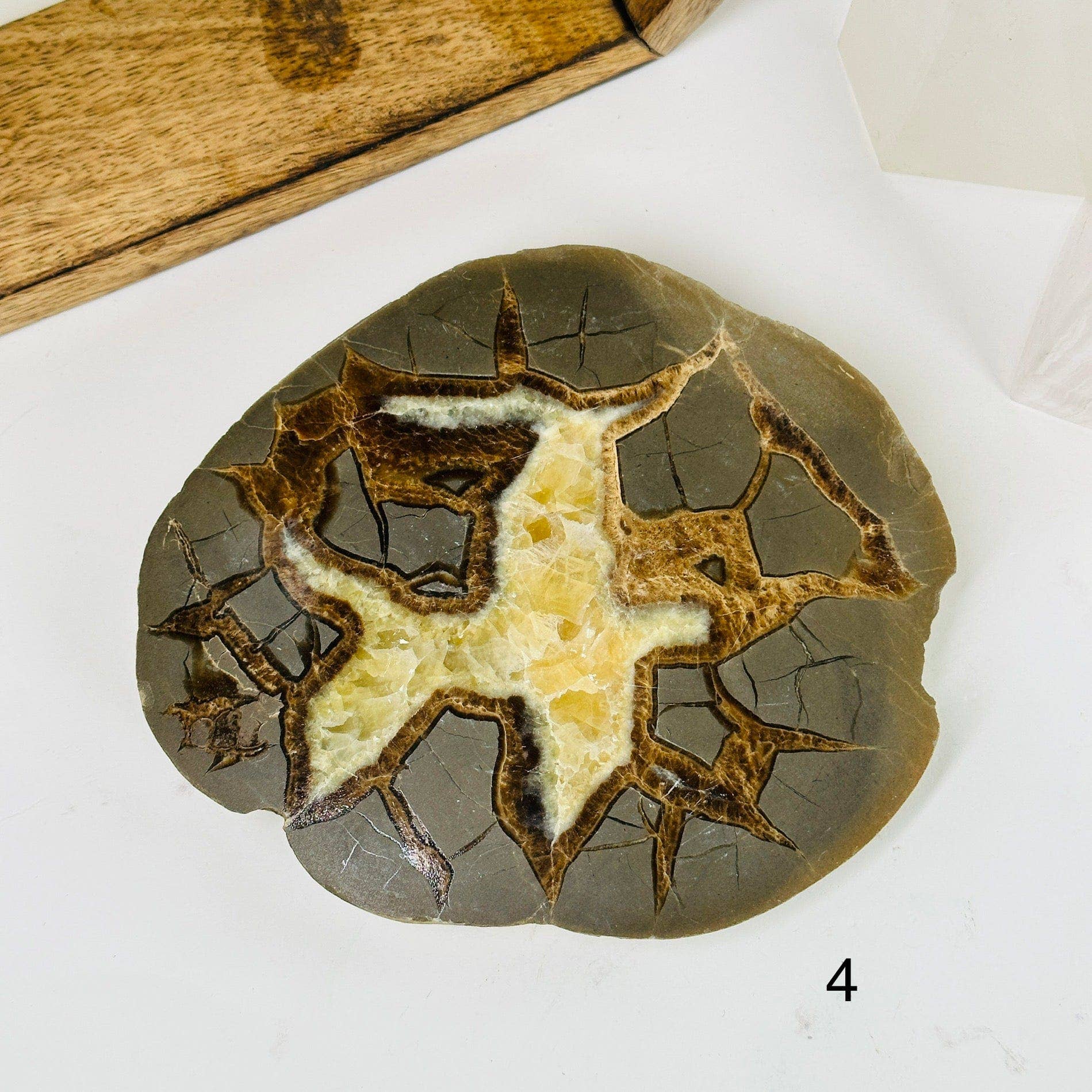 Unique Utah Septarian Crystal Slab featuring intricate patterns of calcite and aragonite, perfect for any collection.