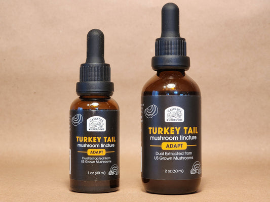 Turkey Tail Tinctures