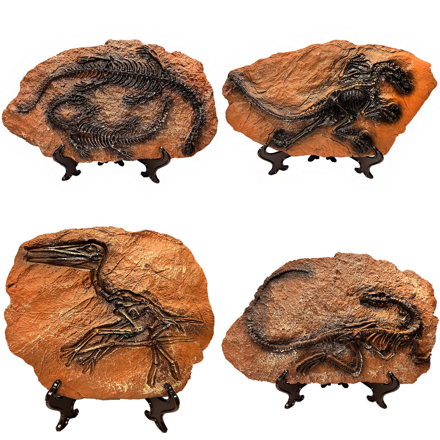 Dinosaur Prehistoric Skeleton Plaque w/ Holder