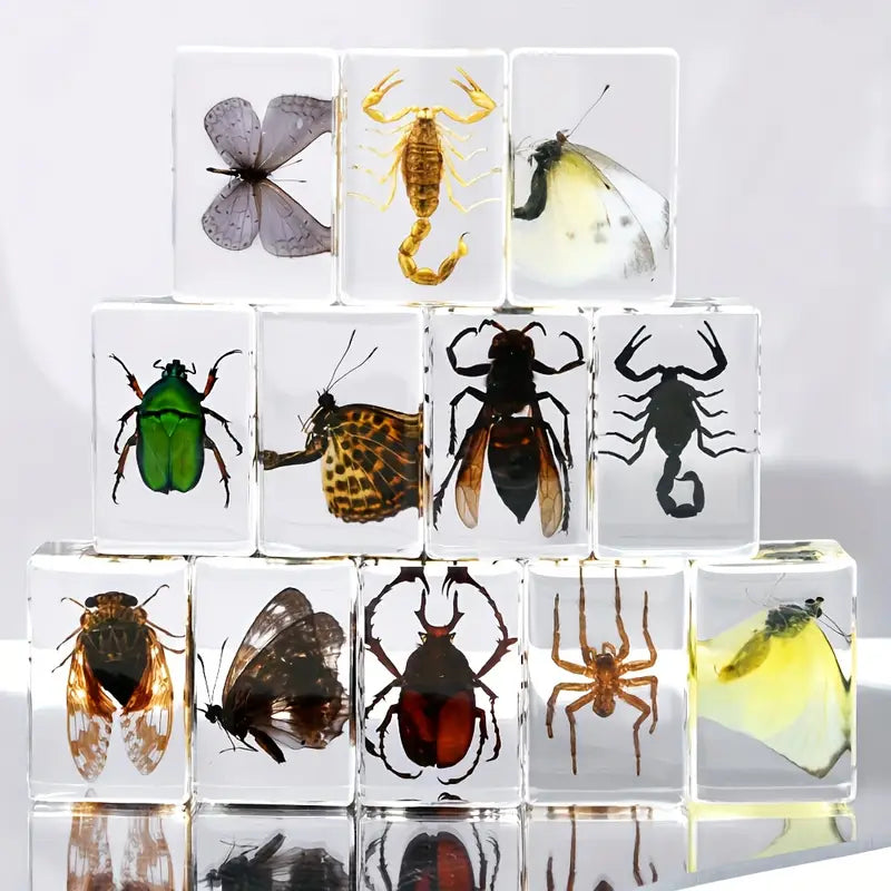 Simulated Insect Specimens in Resin Display Case Stand