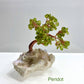 Wholesale Lot 5 Pcs Bonsai Tree with Angel Aura Base Crystal