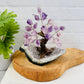 Delight in the beauty of Crystal Trees - Gemstone Crystal Trees with Crystal Stone B, perfect for enchanting decor.