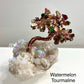Wholesale Lot 5 Pcs Bonsai Tree with Angel Aura Base Crystal