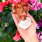 Wholesale Lot 5 Pcs Bonsai Tree with Angel Aura Base Crystal