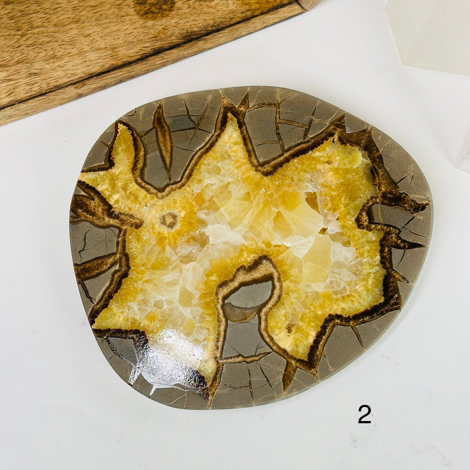Unique Utah Septarian Crystal Slab showcasing stunning patterns of calcite and aragonite for your collection.