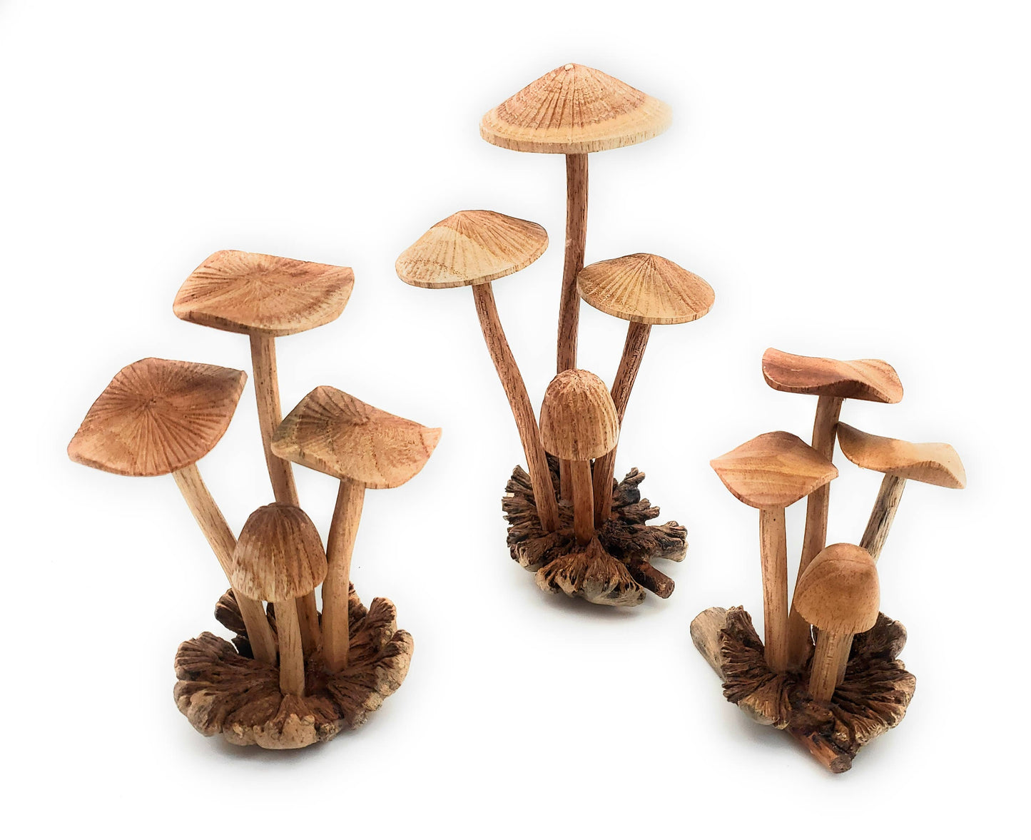 Hand Carved Medium Wooden Mushroom