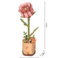 Pink Rose Rowood DIY Wooden Flower 3D Puzzles