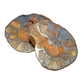 Hematite Ammonite Fossil Pair Spiritual Stone