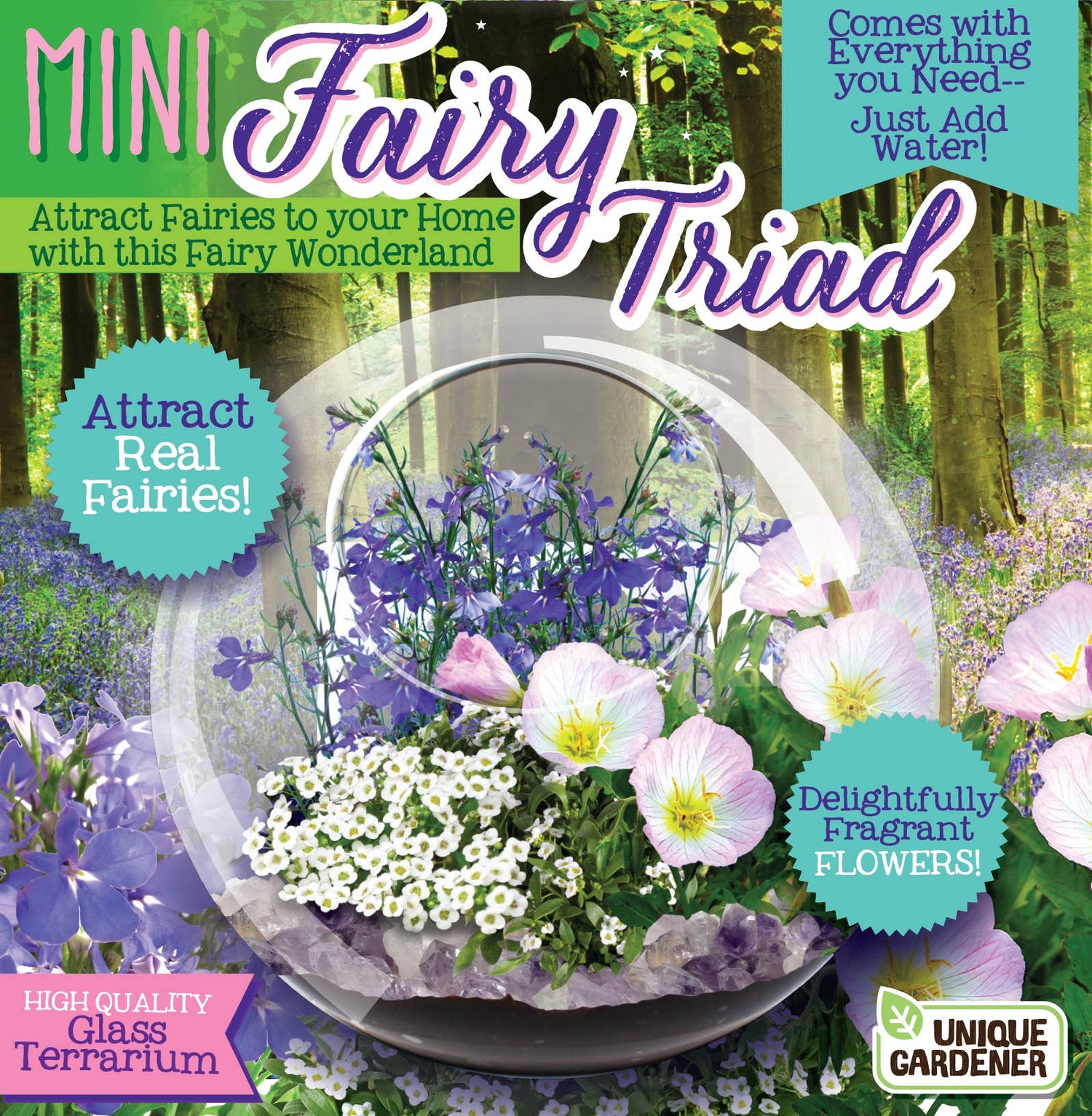 Terrarium Kits