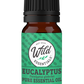 Essential Oil - Eucalyptus - 10ml Bottle