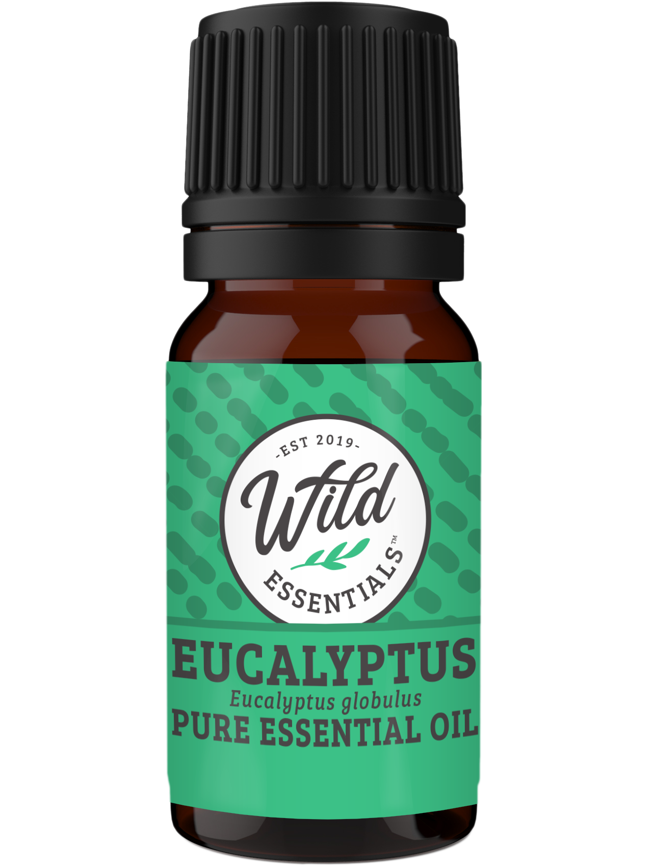 Essential Oil - Eucalyptus - 10ml Bottle
