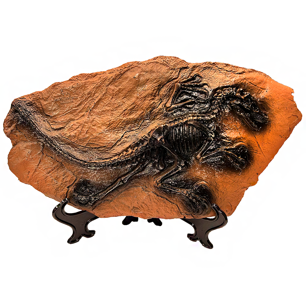 Dinosaur Prehistoric Skeleton Plaque w/ Holder