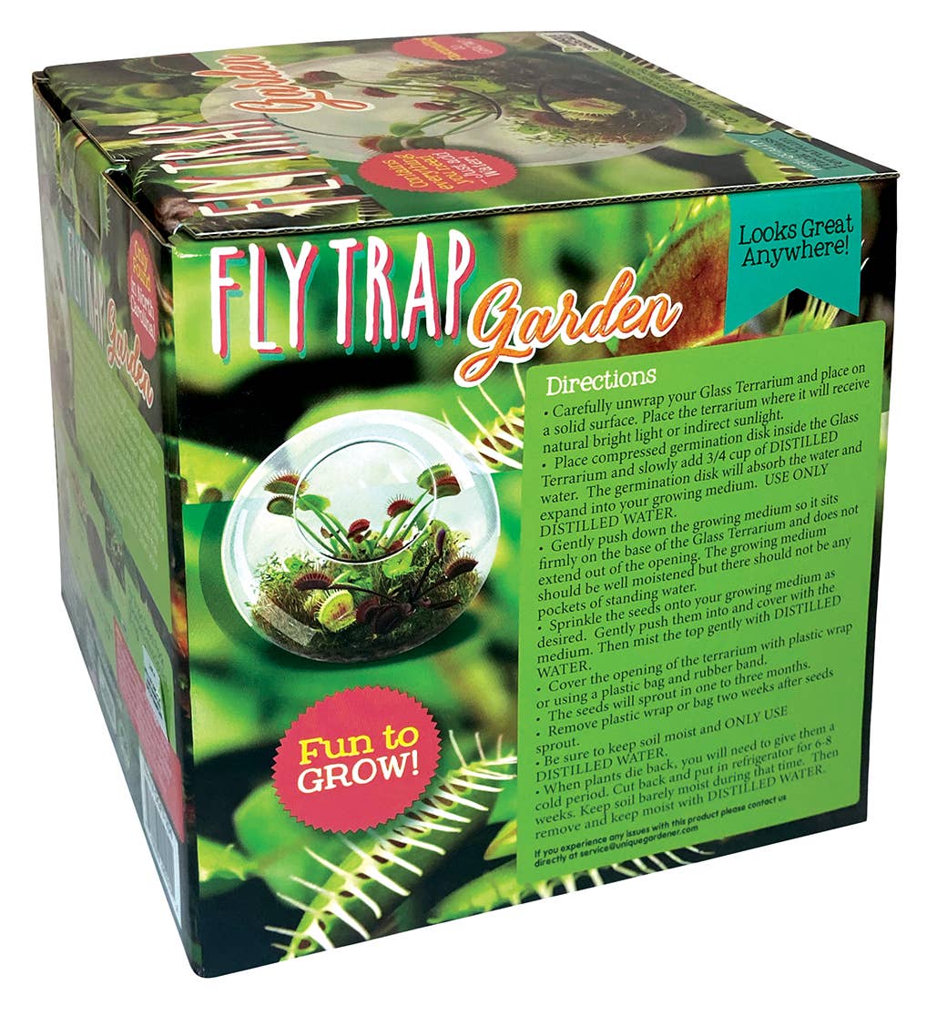 Flytraps Glass Terrarium