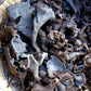 Dried Black Trumpet Mushrooms