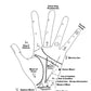 Time on Your Hands: A Study in Palmistry