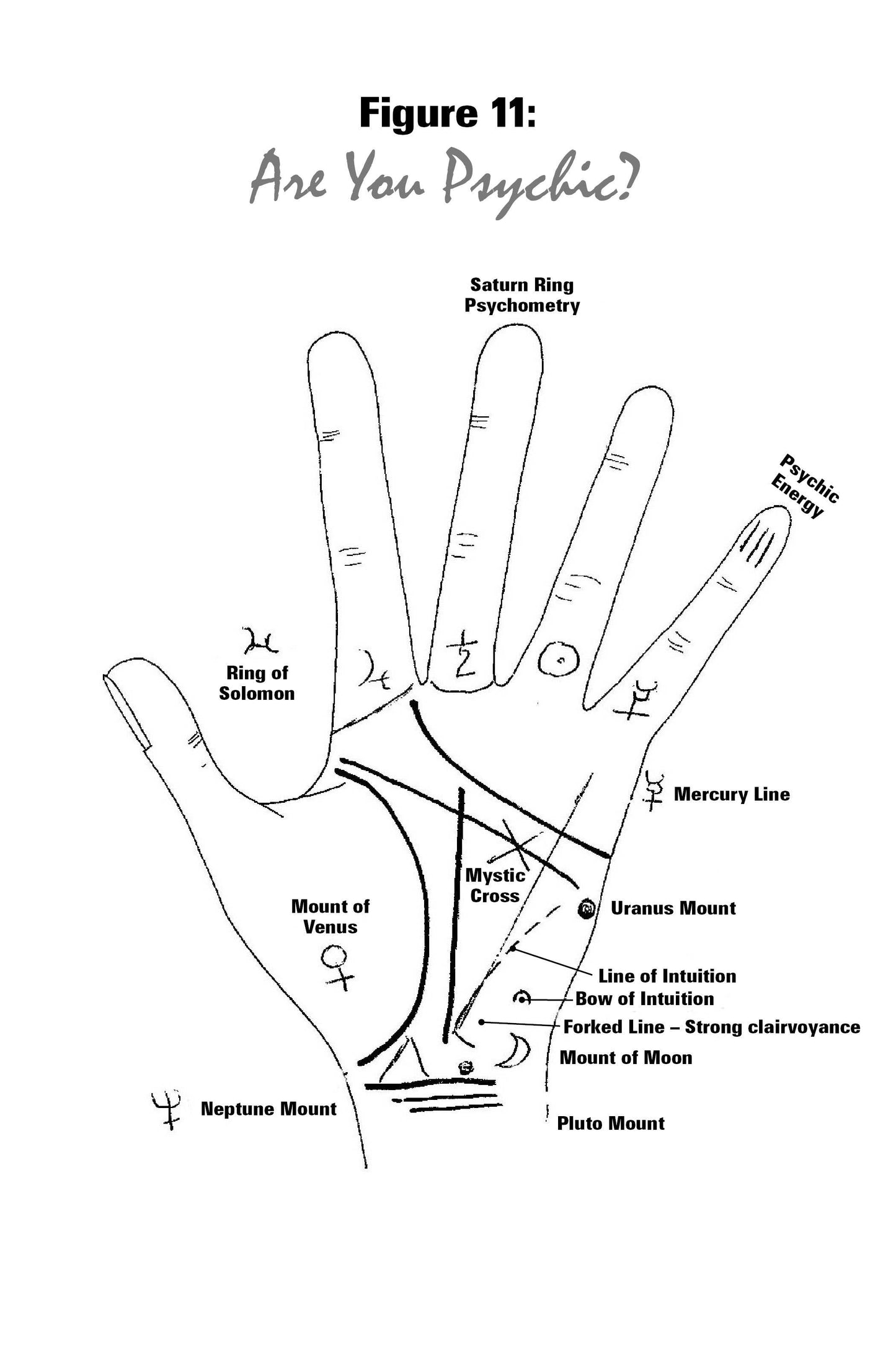 Time on Your Hands: A Study in Palmistry