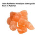 Moon Handcrafted Salt Lamp Diffuser With  Ul  Listed Dimmer