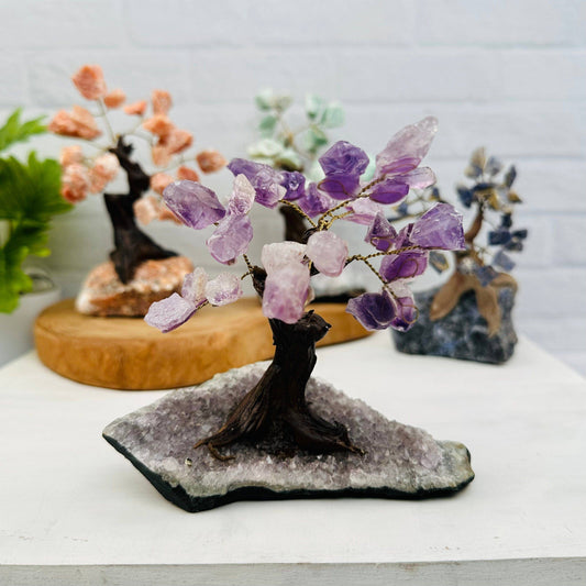 Elegant Crystal Trees - Gemstone Crystal Trees with Crystal Stone B enhance your space with vibrant amethyst and quartz.