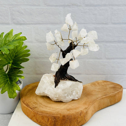 Beautiful Crystal Trees - Gemstone Crystal Trees with Crystal Stone B, perfect for enchanting home décor.