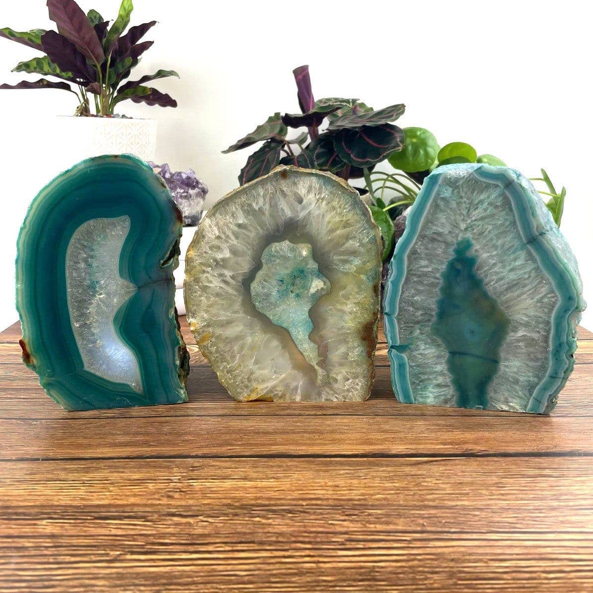 Illuminate your space with the Agate Geode Cut Base Crystal Lamp, showcasing vibrant dyed agate colors and unique beauty.