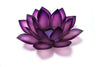 Passion Paradise Lotus