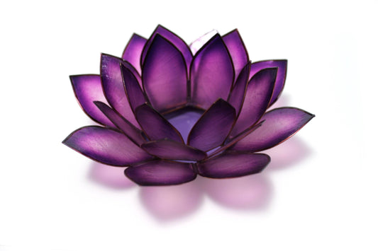 Passion Paradise Lotus