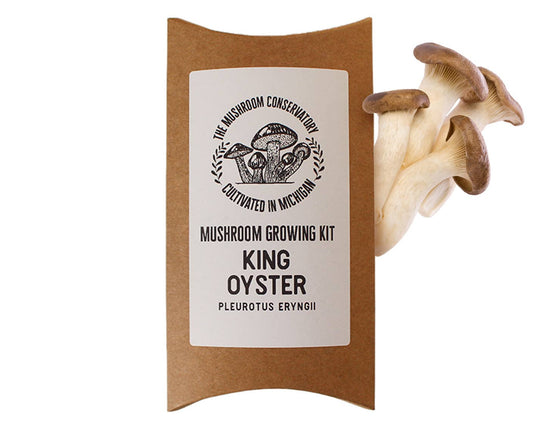 King Oyster Gourmet Mushroom Growing Kit: DIY Feast!
