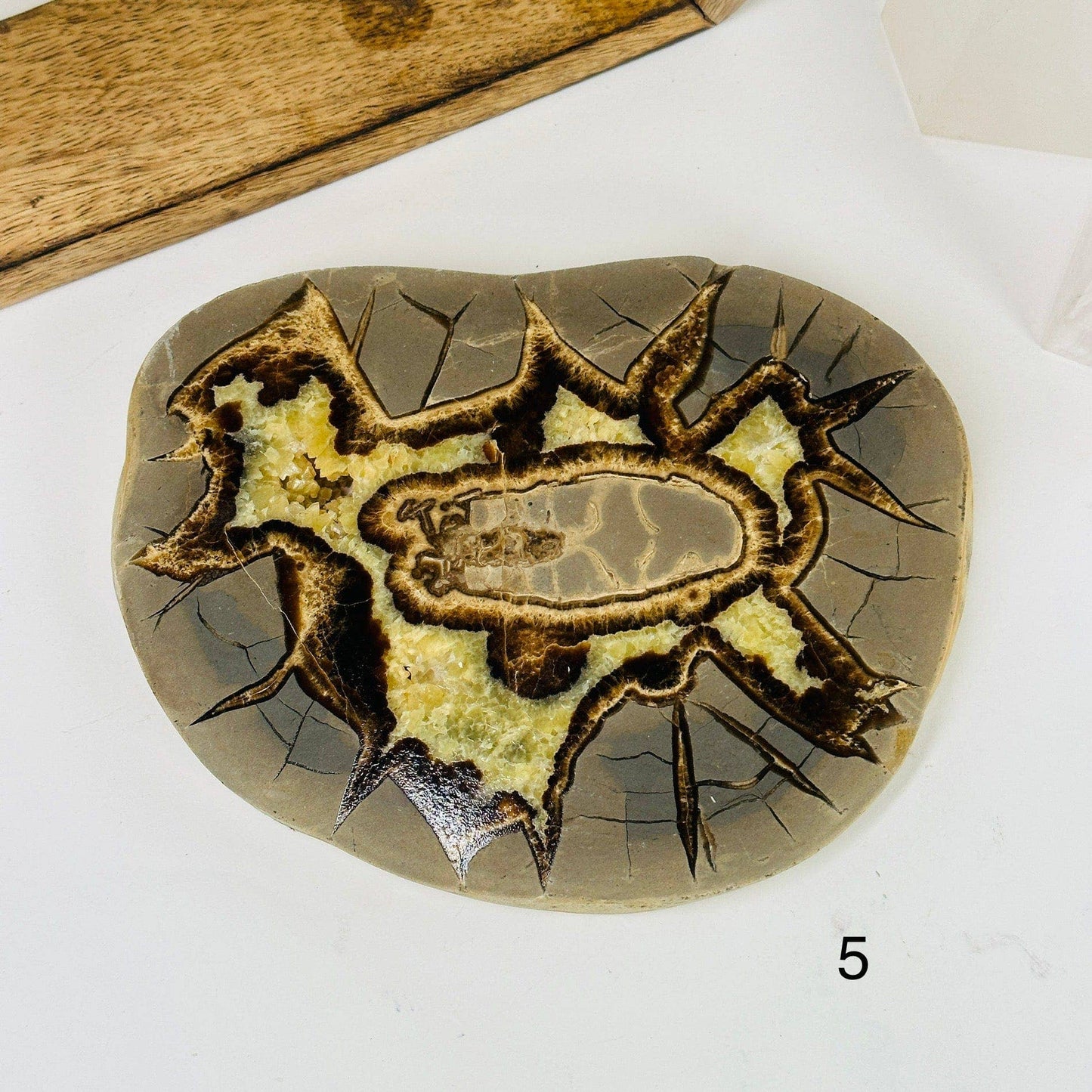 Utah Septarian Crystal Slab showcasing unique patterns of angular cracks, perfect for any geological collection.