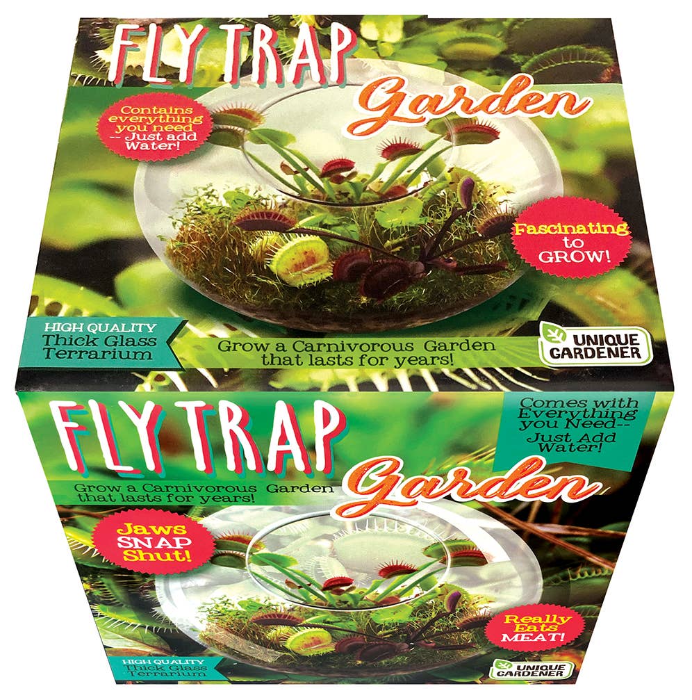 Flytraps Glass Terrarium