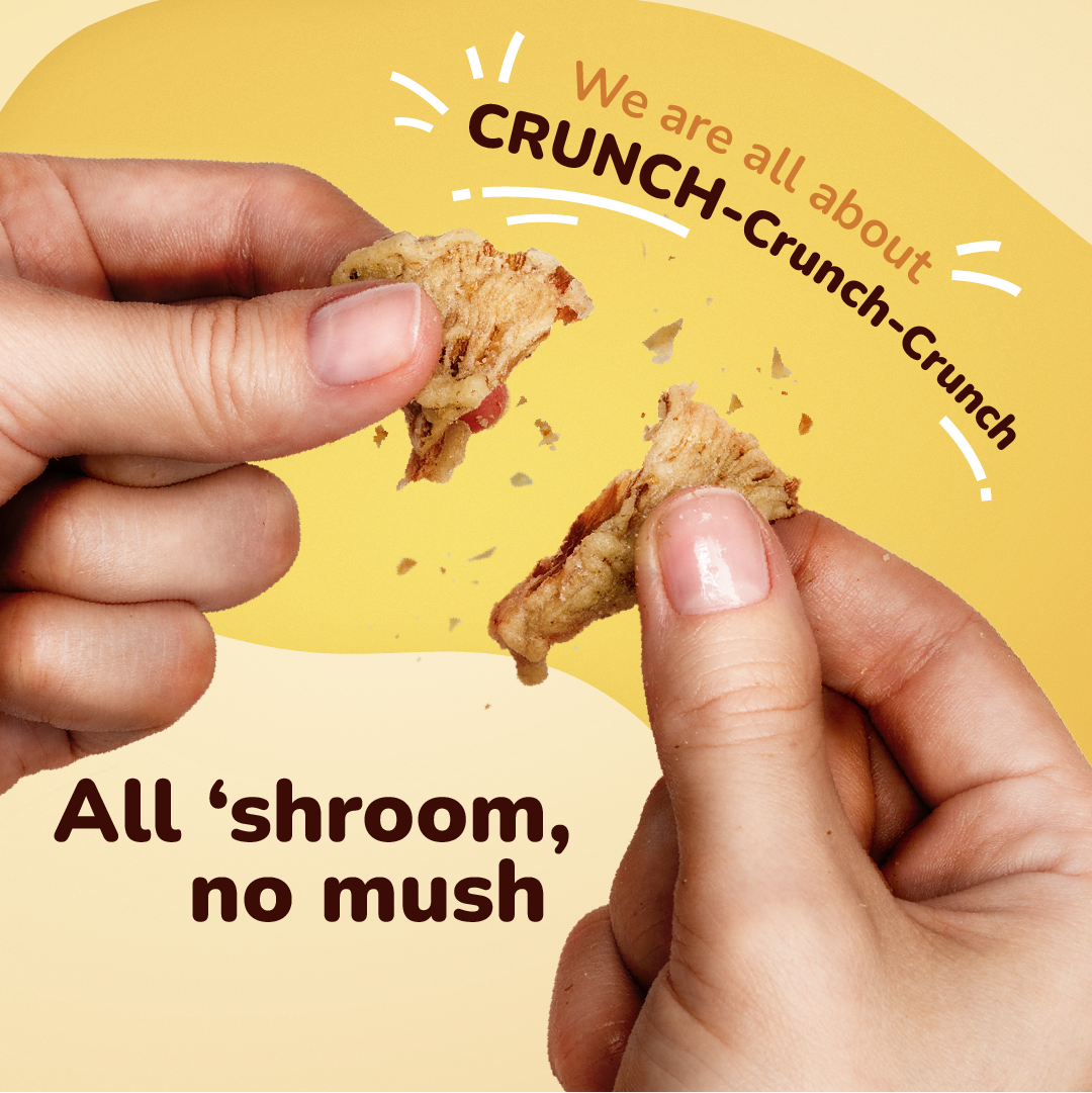 Evil Snacks Crunchy Mushroom Chips Zesty Thai Flavor, 1oz Bg
