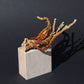 Organic Dried Red Reishi Mushroom - 0512