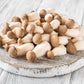 King Oyster Gourmet Mushroom Growing Kit: DIY Feast! - 0530