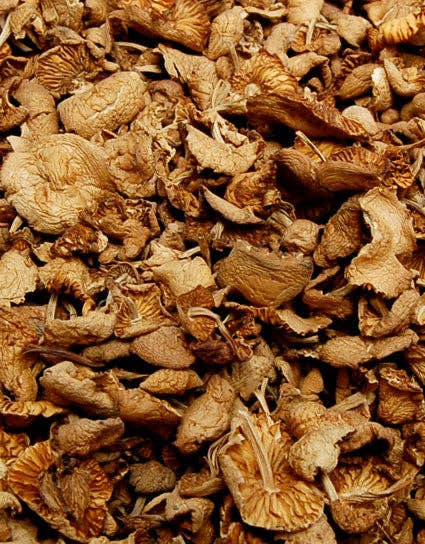 Dried Mousseron Mushrooms "Fairy Rings"