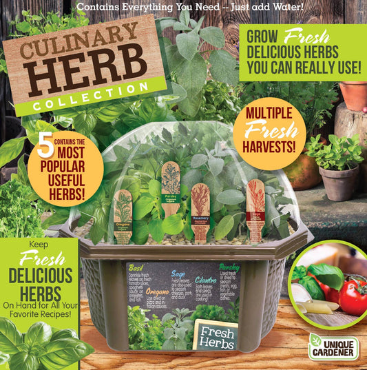 Culinary Herb Collection