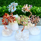 Wholesale Lot 5 Pcs Bonsai Tree with Angel Aura Base Crystal