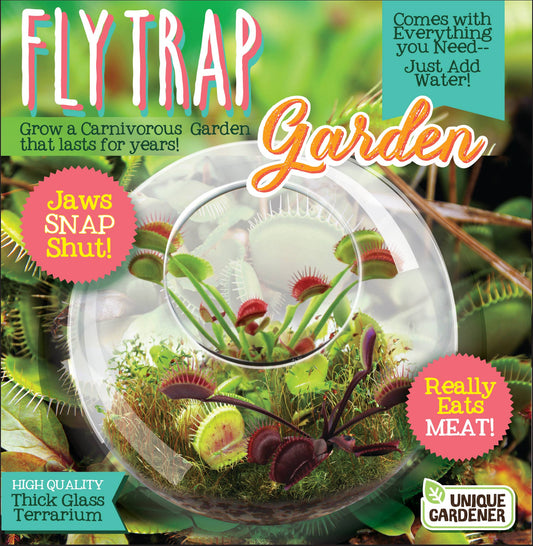 Flytraps Glass Terrarium
