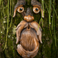 Tree Faces Bird feed