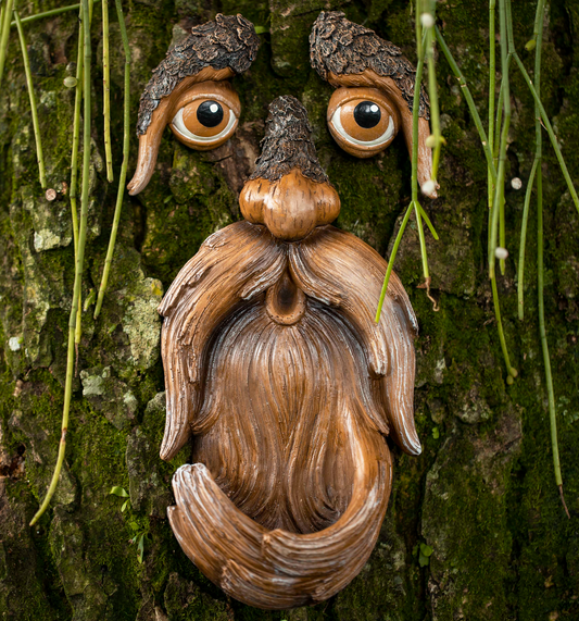 Tree Faces Bird feed