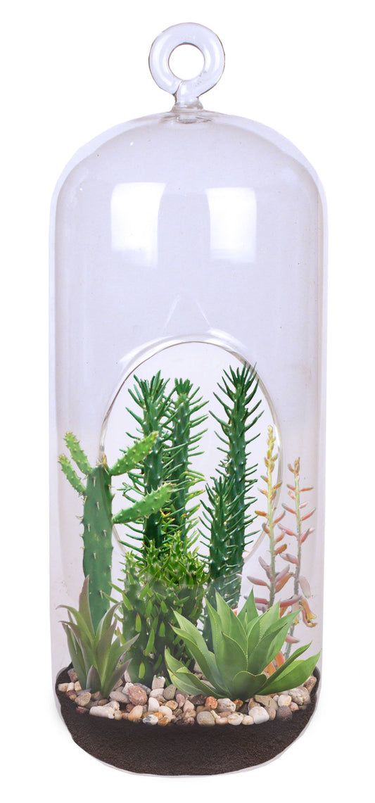Superb Succulents Carefree Capsule Glass Terrarium