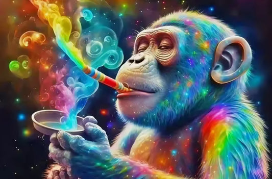 Stoned feeling Groovy Monkey Paint By Numbers On Canvas