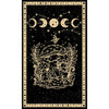 Mushroom Frog Tapestry