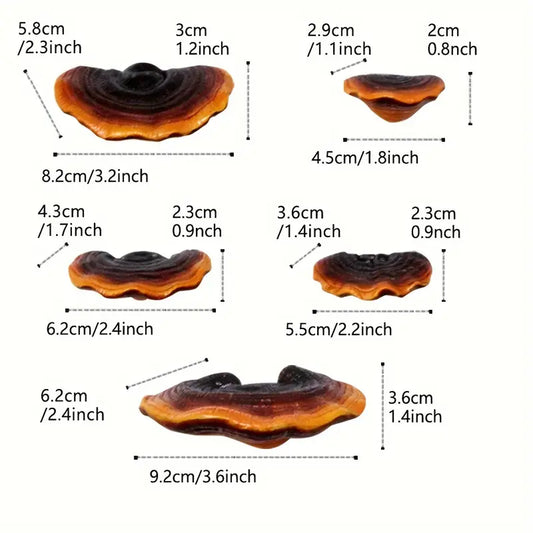 Handmade Mushroom Resin Shelves For Home Decor Art Pieces