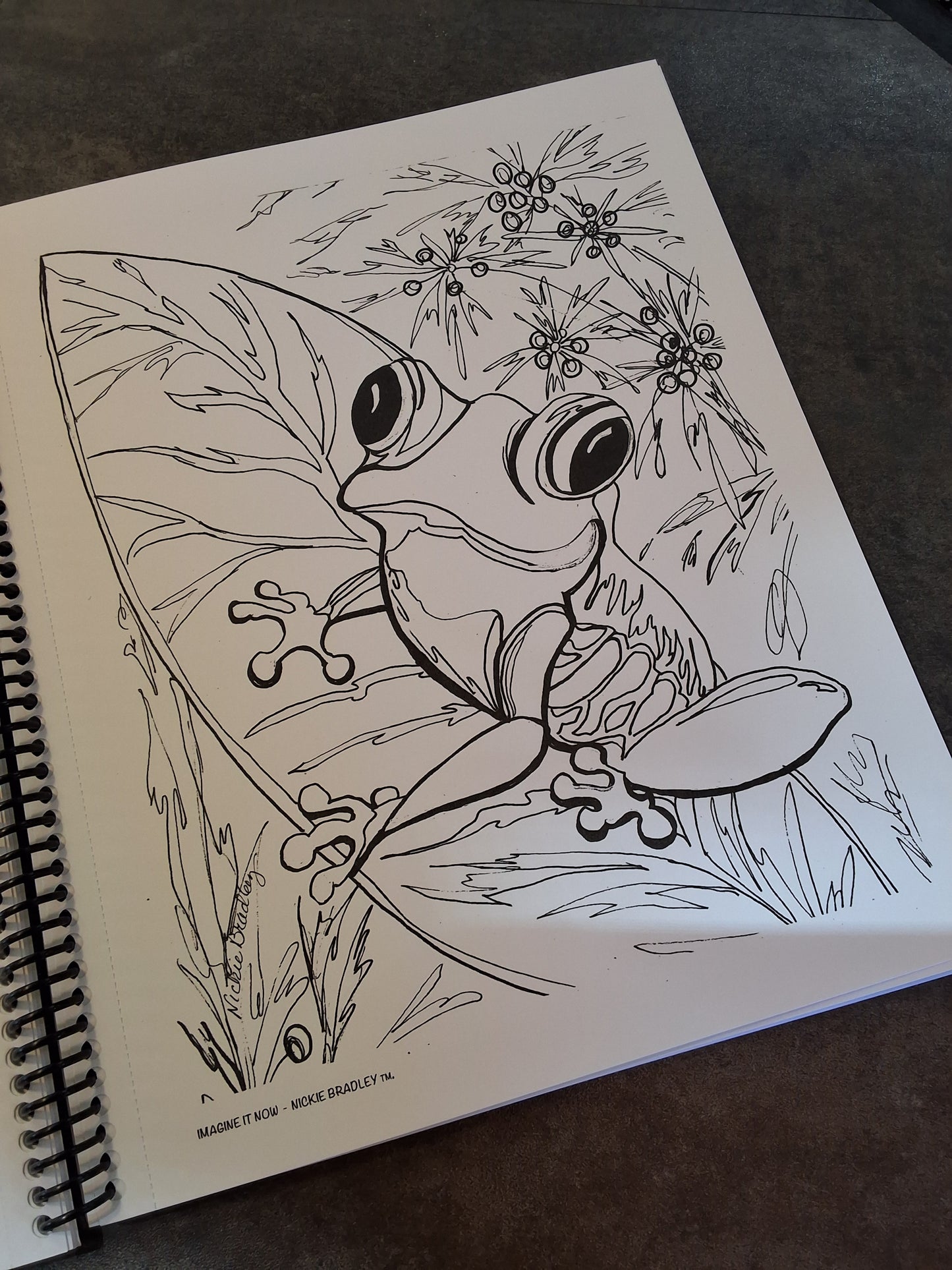 Imagine It Now-Nickie Bradley Coloring Books