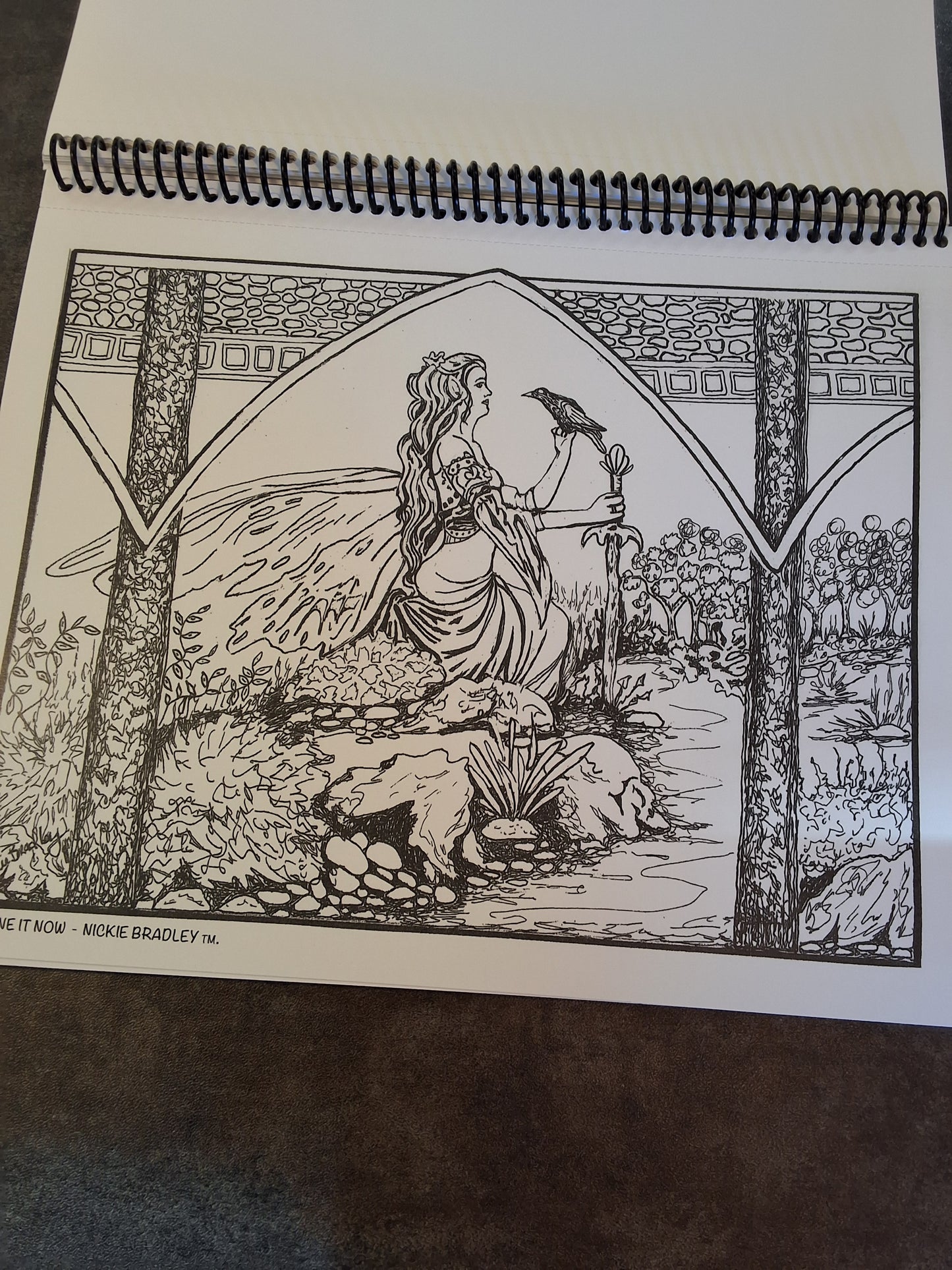 Imagine It Now-Nickie Bradley Coloring Books